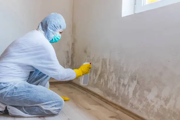 Los Angeles Mold Remediation